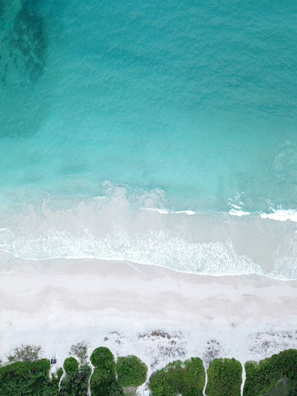 Meet your Posher, Sally